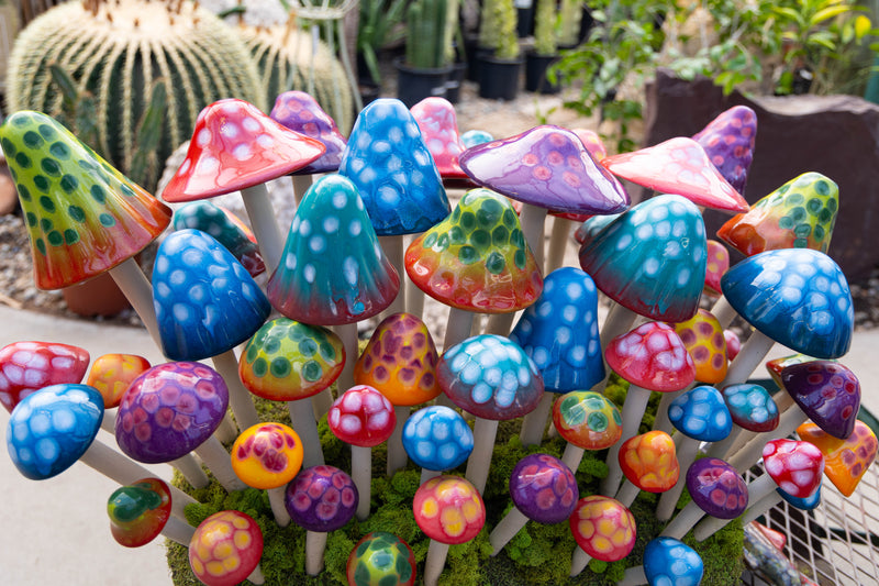 GumDrop Variety Pack