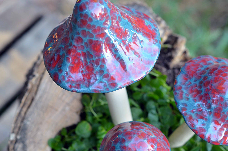 Tigers Blood - Plum Scrumptious - 1