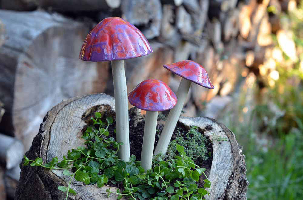 Cherry Pop Rock - Plum Scrumptious - 5