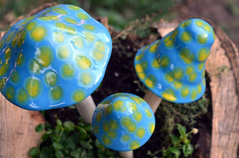 Robins Egg - Plum Scrumptious - 1