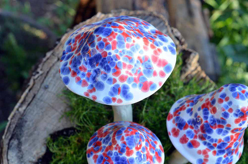 Funfetti - Plum Scrumptious - 1