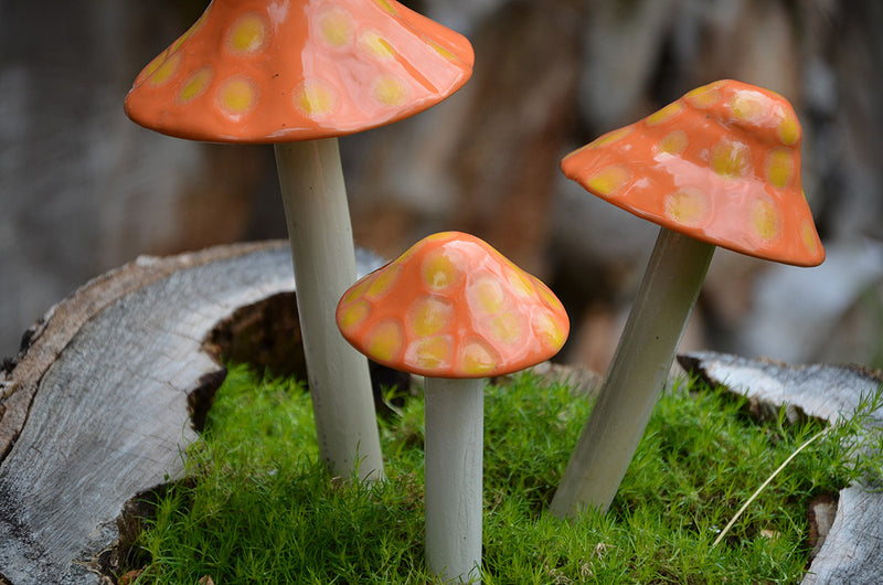 Fuzzy Peach - Plum Scrumptious - 1