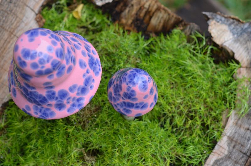 Pink Berry - Plum Scrumptious - 1