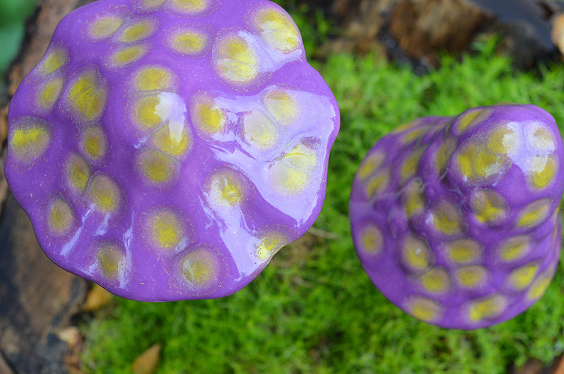 Dinosaur Egg - Plum Scrumptious - 1