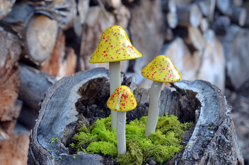 Wildfire - Plum Scrumptious - 1