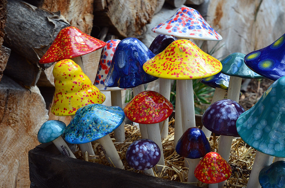 Crystal Variety Pack - Plum Scrumptious - 2