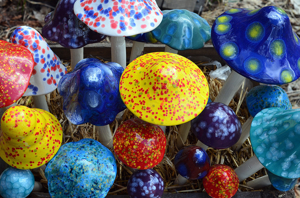 Crystal Variety Pack - Plum Scrumptious - 1