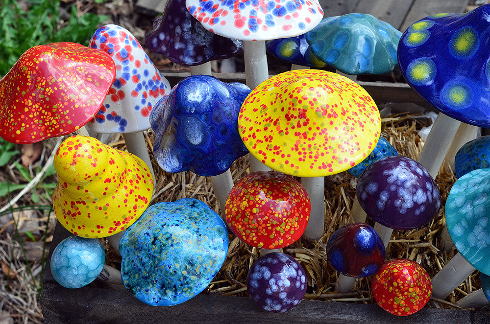 Crystal Variety Pack - Plum Scrumptious - 3