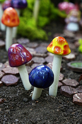 Fairy Shroomyz - Plum Scrumptious - 1