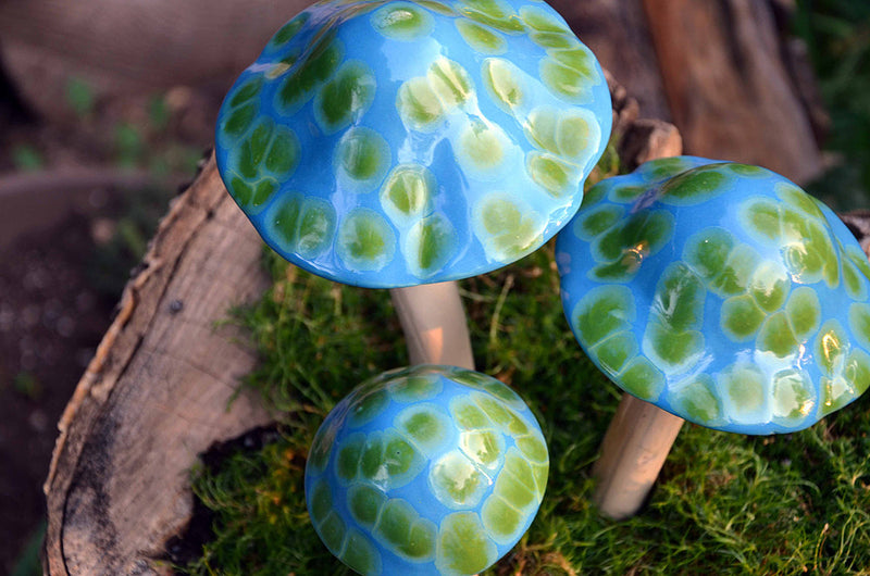 Turquoise Turtle - Plum Scrumptious - 1