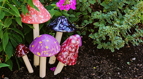 Crystal Variety Pack - Plum Scrumptious - 5