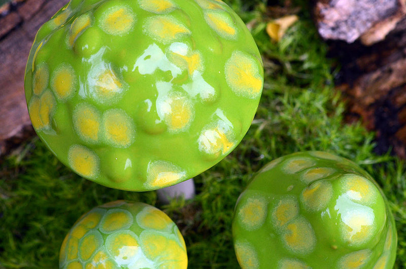 Lemon Lime - Plum Scrumptious - 1