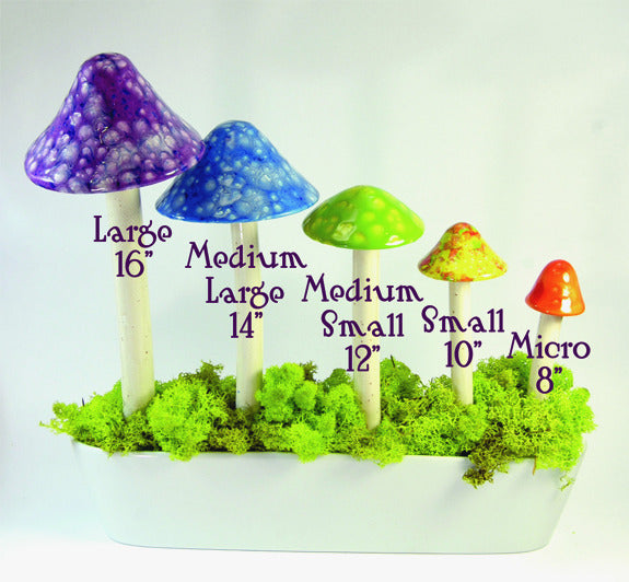 Cherry Pop Rock - Plum Scrumptious - 2