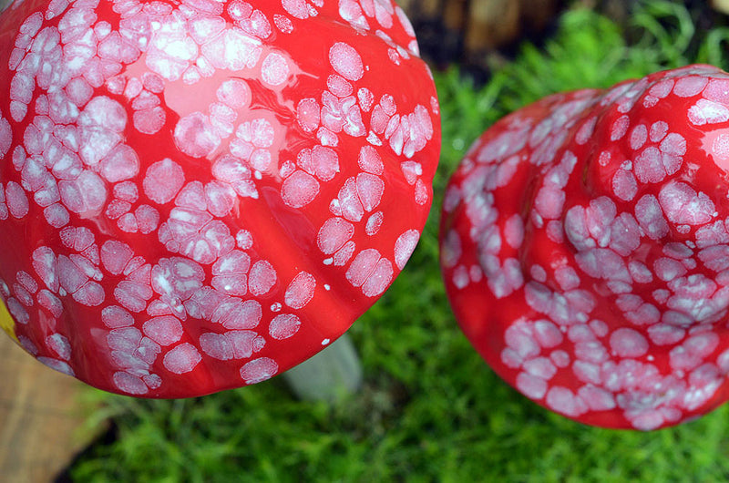 Red Planet - Plum Scrumptious - 1