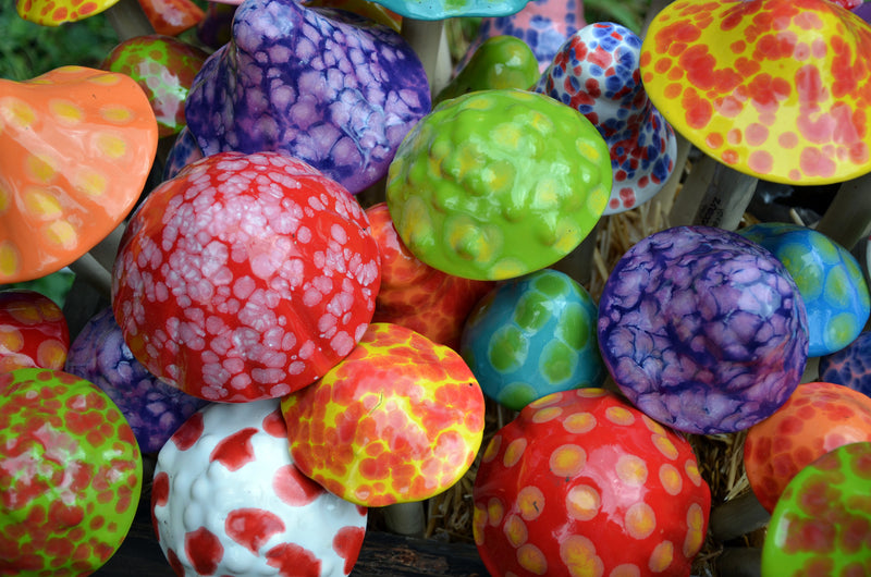 Funtasmic Variety Pack - Plum Scrumptious - 1