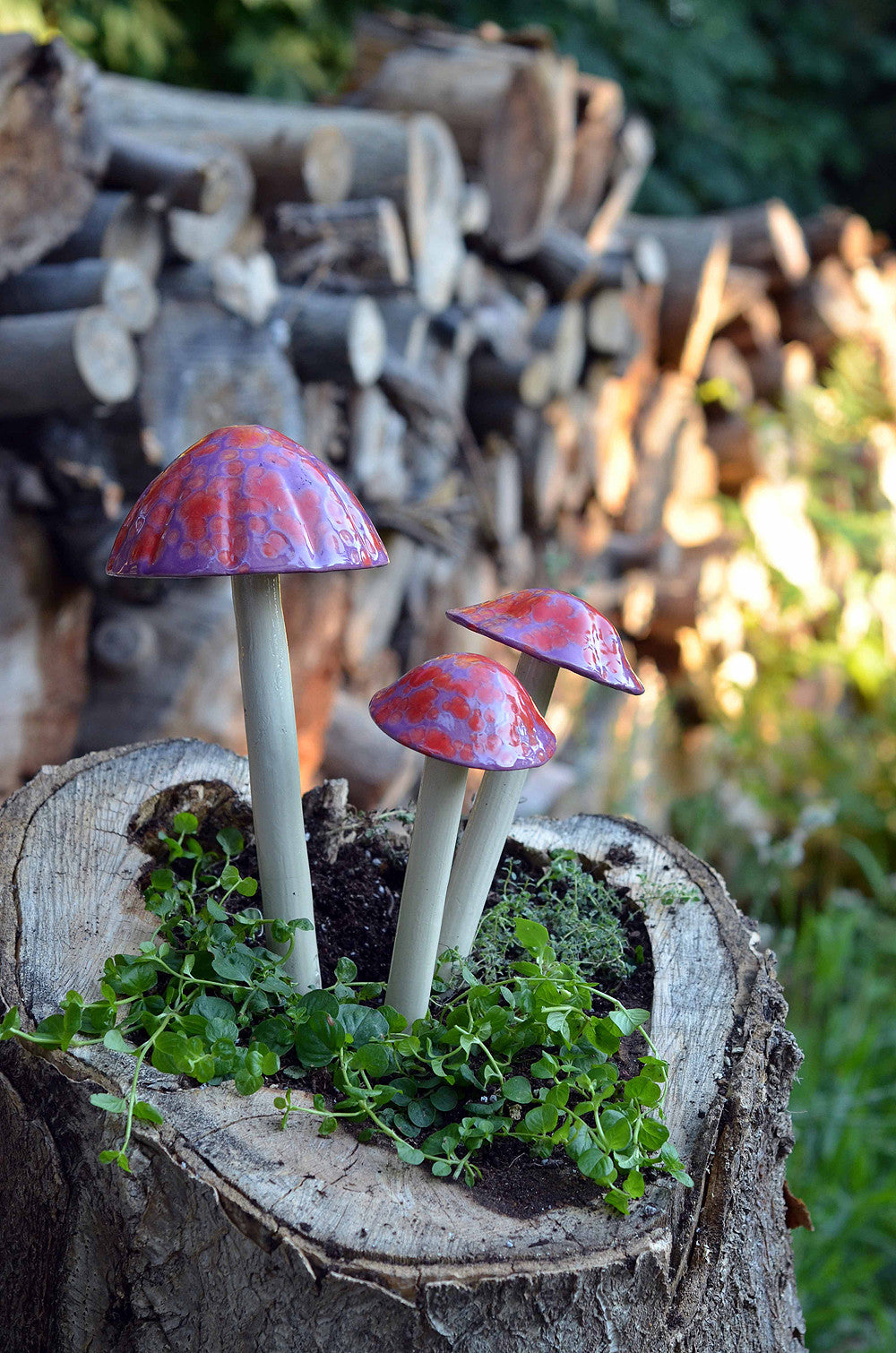 Cherry Pop Rock - Plum Scrumptious - 3