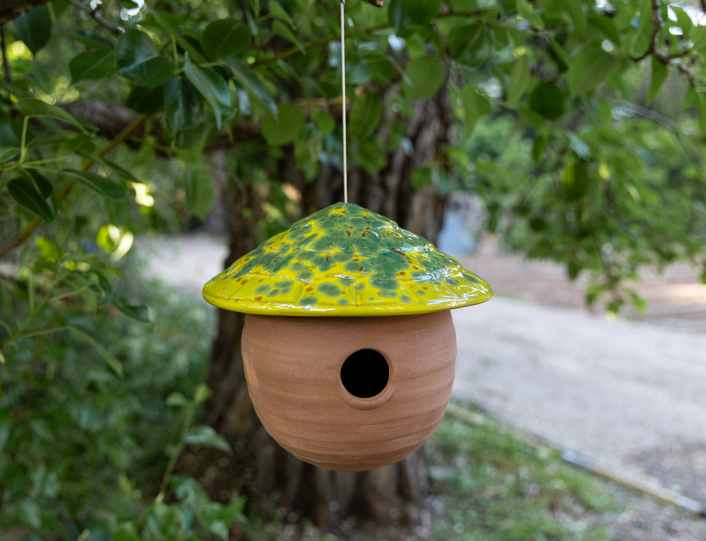Gourd Birdhouse-Kiwi
