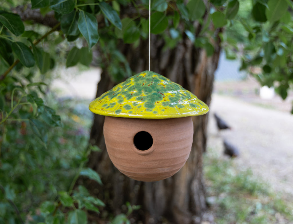 Gourd Birdhouse-Kiwi