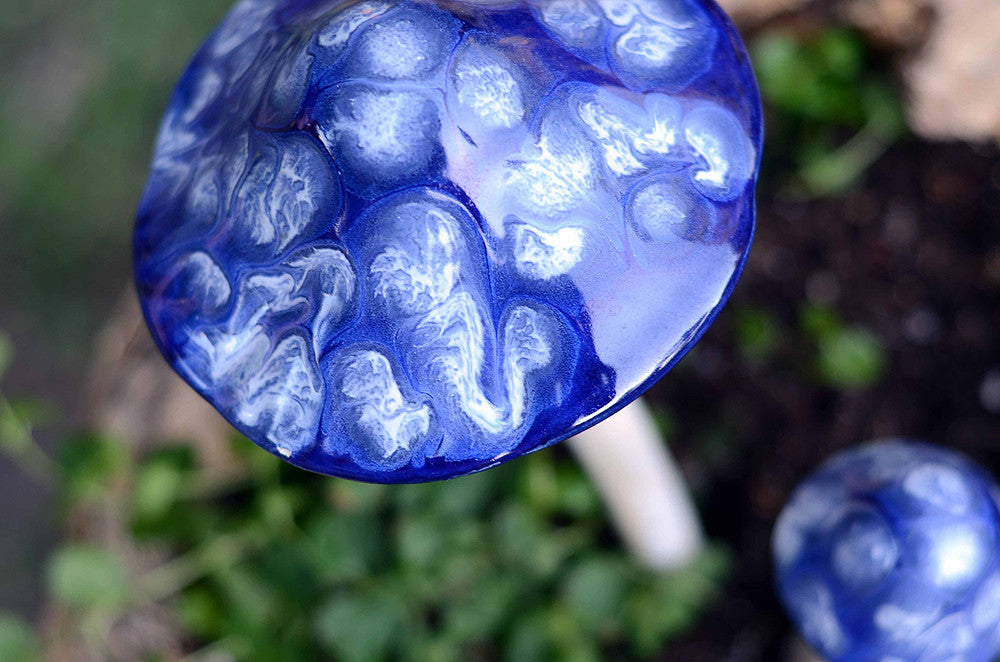 Blueberry - Plum Scrumptious - 1